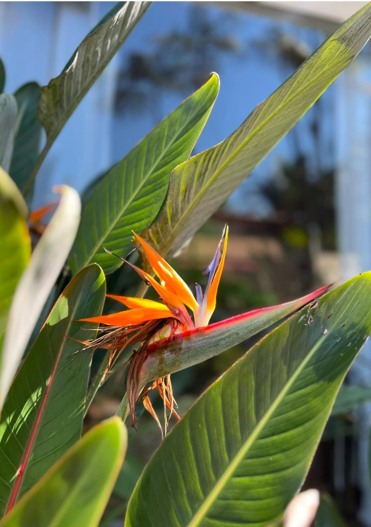 Pousada Casa Paradiso Guaruja Ξενοδοχείο Εξωτερικό φωτογραφία